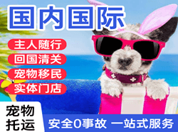 云冈空运公司国际宠物托运 【国